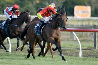 The Lowland Stakes was impressively won by the blue-blooded Queen of Diamonds (NZ) (Savabeel).